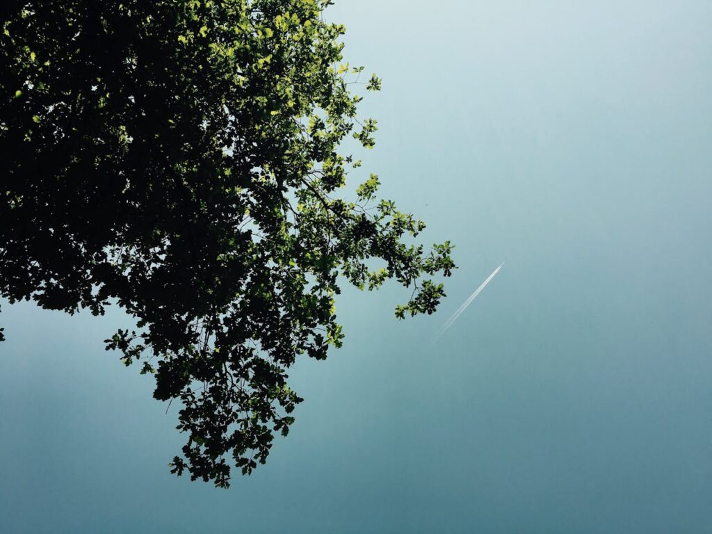 pexels photo 109214 Leafy tree branch against a calm blue sky with contrail near Holten, Netherlands.