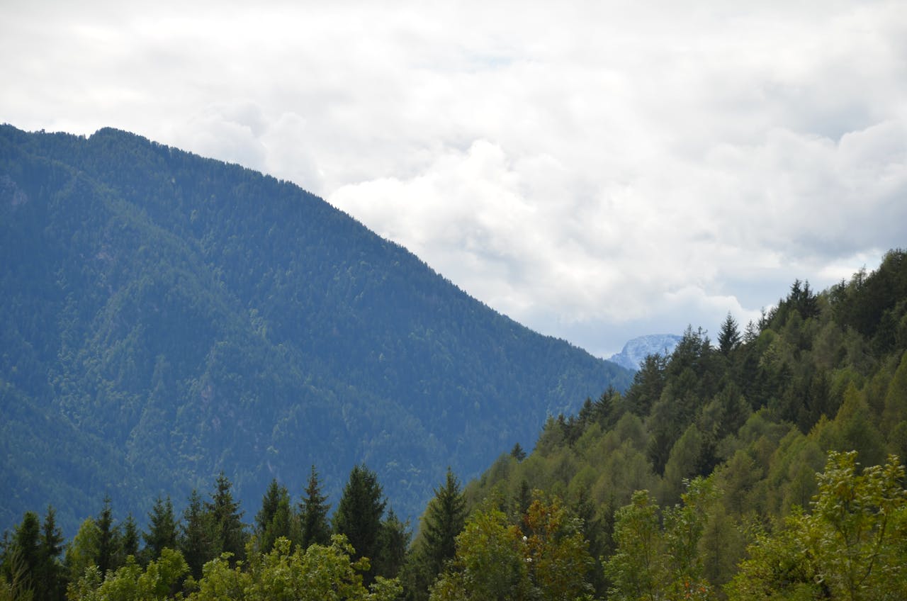 gallery-4 Serene mountain landscape with lush evergreen trees under a cloudy sky.