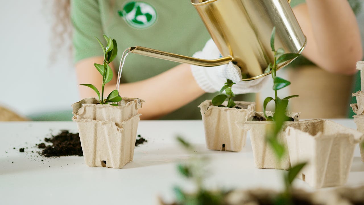 services-01 Person watering young plants in eco-friendly recycled pots for sustainable gardening.