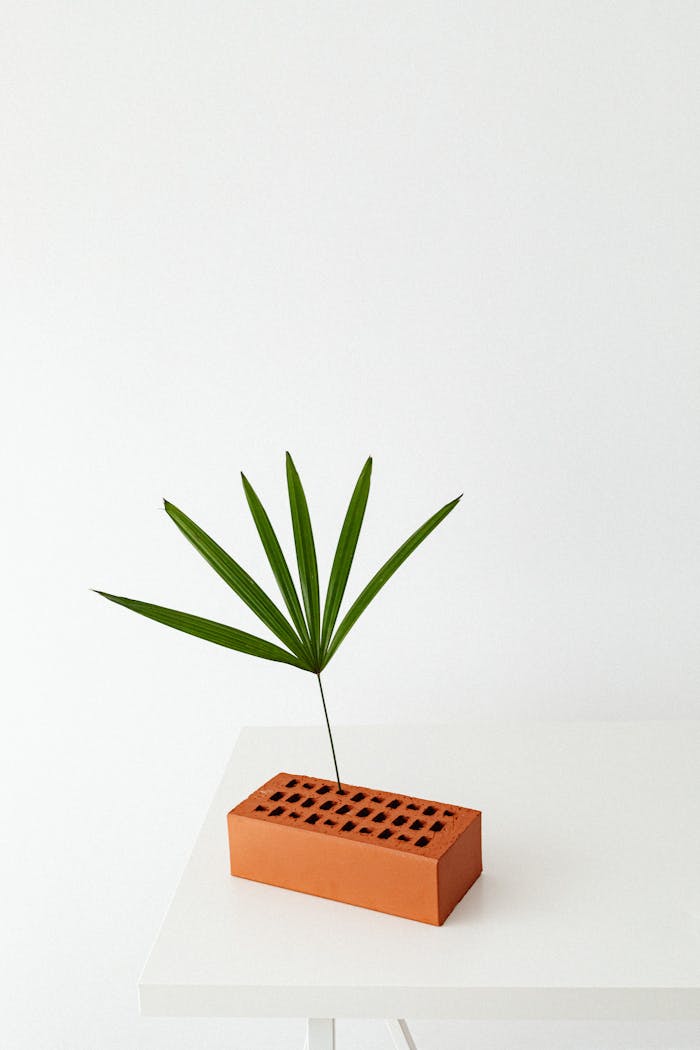 about-img Simple still life featuring a green palm leaf in an orange brick on a white table.
