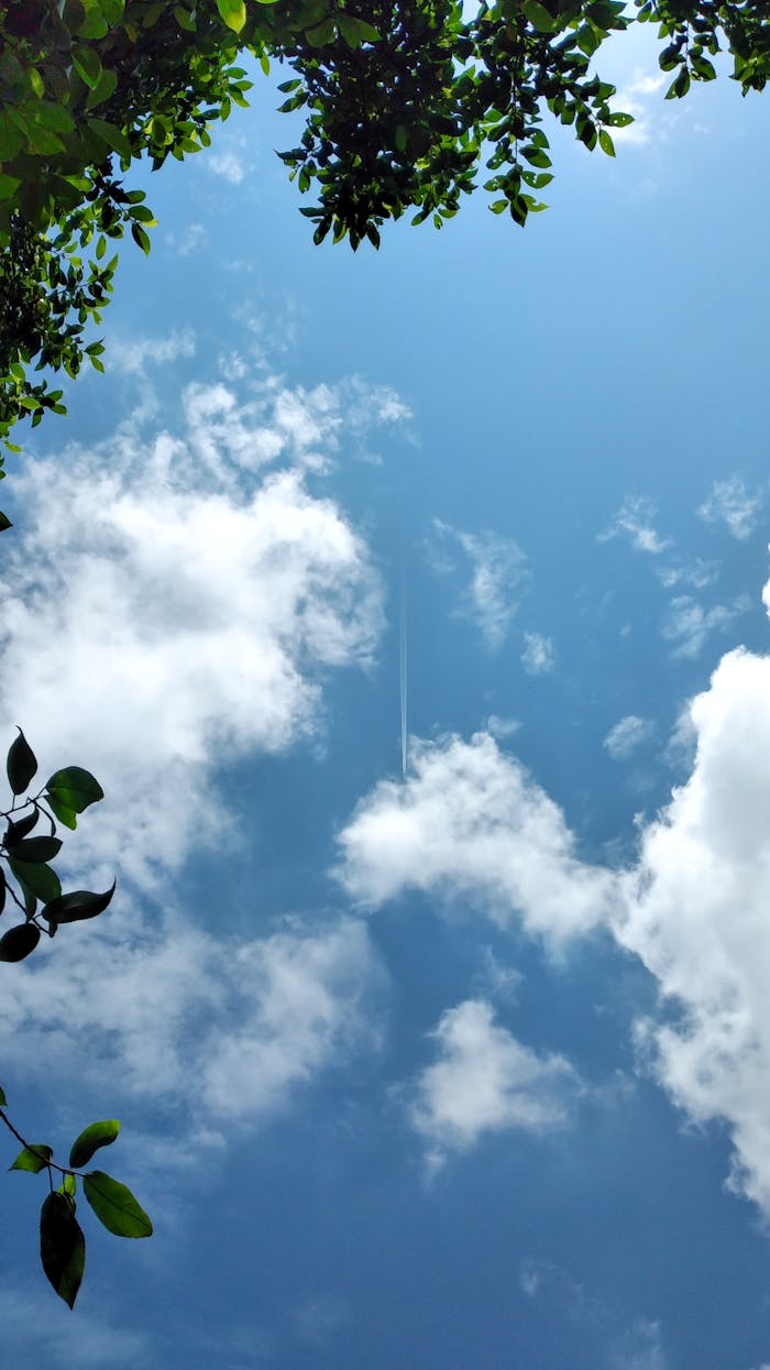 Crafting Captivating Headlines: Your awesome post title goes here Clear blue sky with white clouds and green leaves framing the edges, showcasing a serene view.