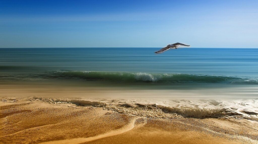 images-nature-1